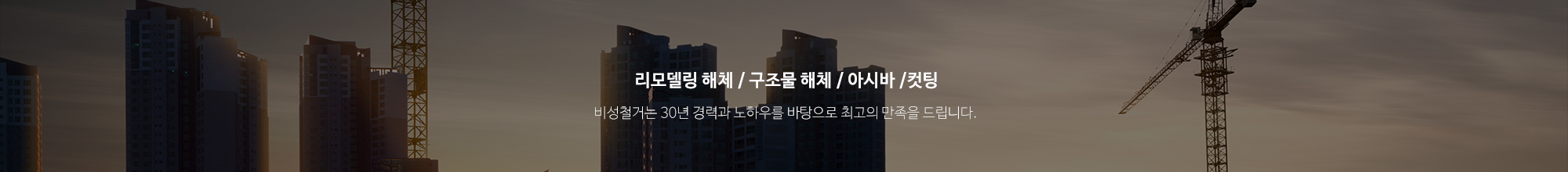 비성철거_상단